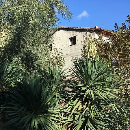 Apartment Petite Maison Proche De La Nature Vico
