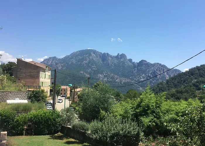 Petite Maison Proche De La Nature Vico