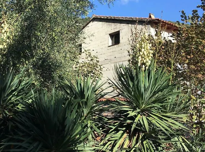 Apartamento Petite Maison Proche De La Nature Vico